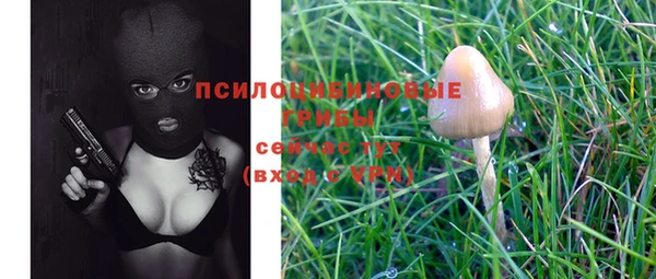 дурь Остров