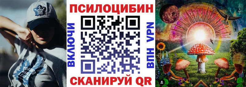 Купить закладки  Ачинск  Псилоцибиновые грибы Psilocybine cubensis 